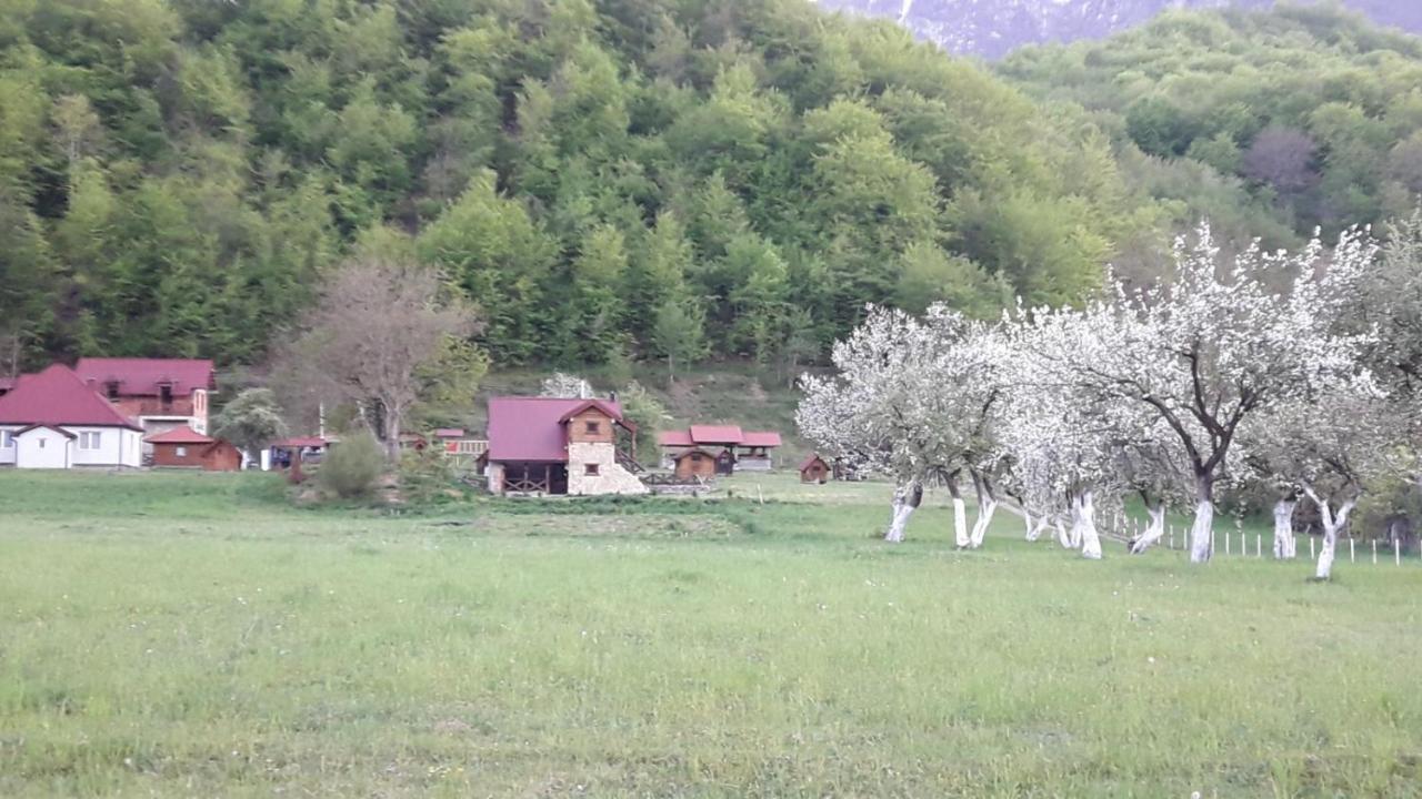 Camp &Apartmens Scepanovic Mojkovac Esterno foto