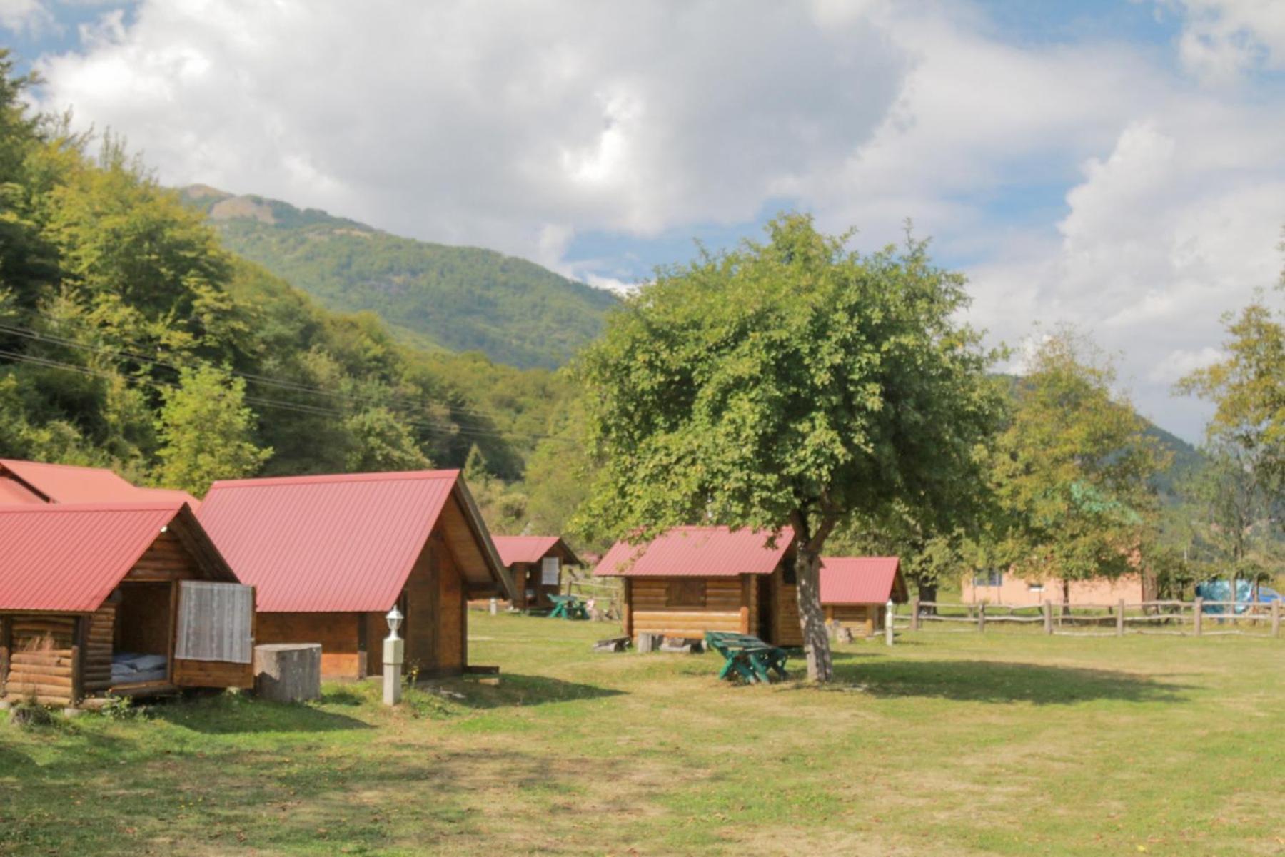 Camp &Apartmens Scepanovic Mojkovac Esterno foto